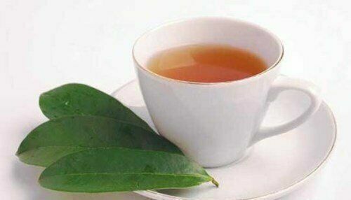 Soursop Graviola 50 tea bags